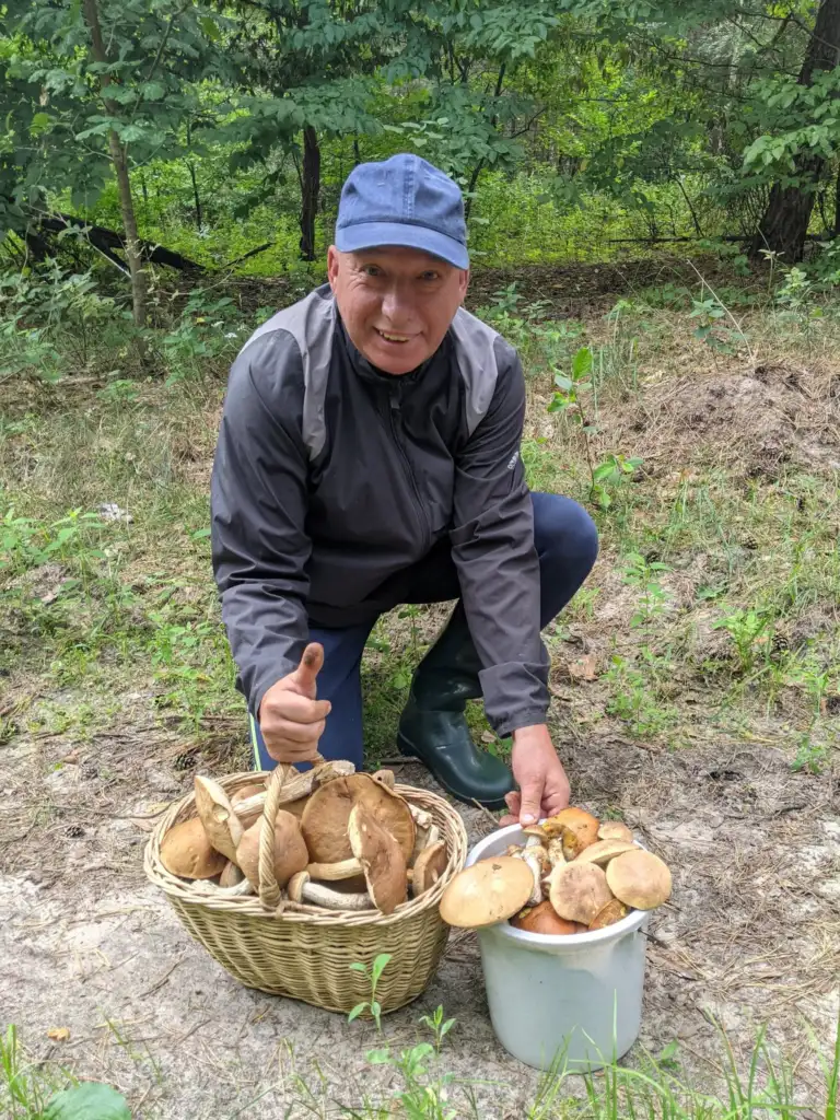 Рясний врожай підберезовиків і підосиновиків у кошику